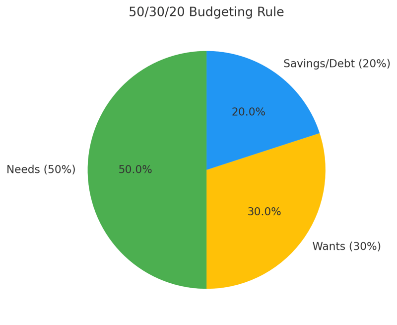 A Visualization of the 503020 Budgeting Rule